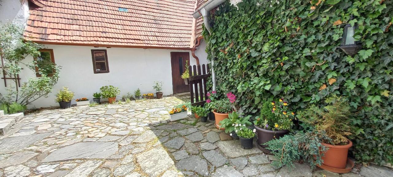Penzion Merlin Český Krumlov Buitenkant foto
